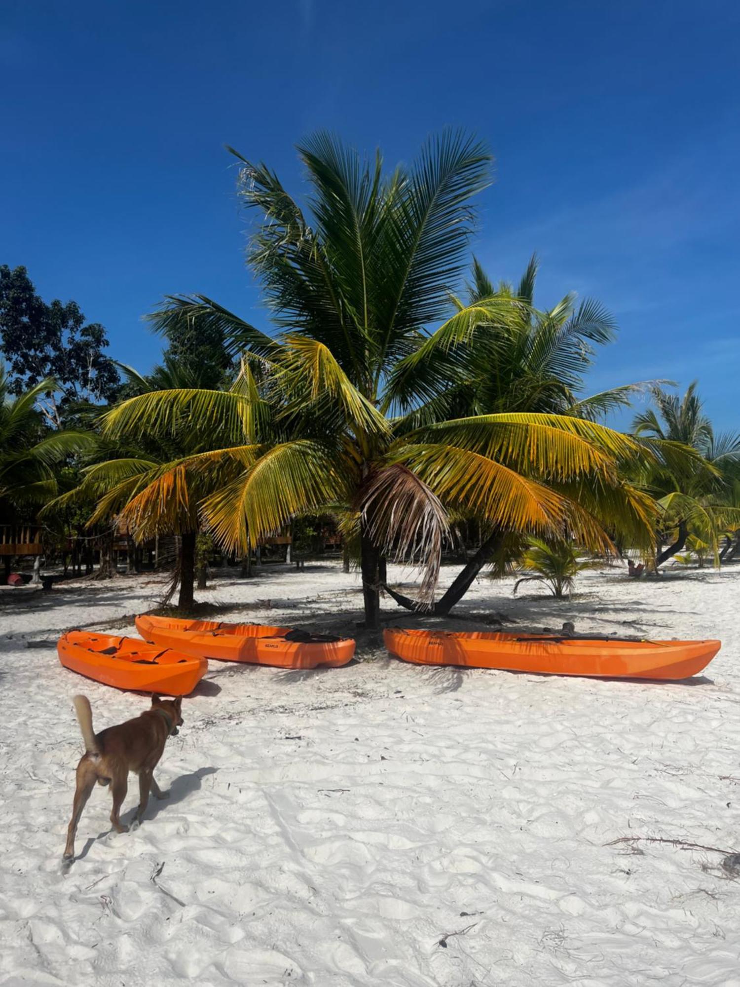 Rafikis Hostel Koh Rong Buitenkant foto